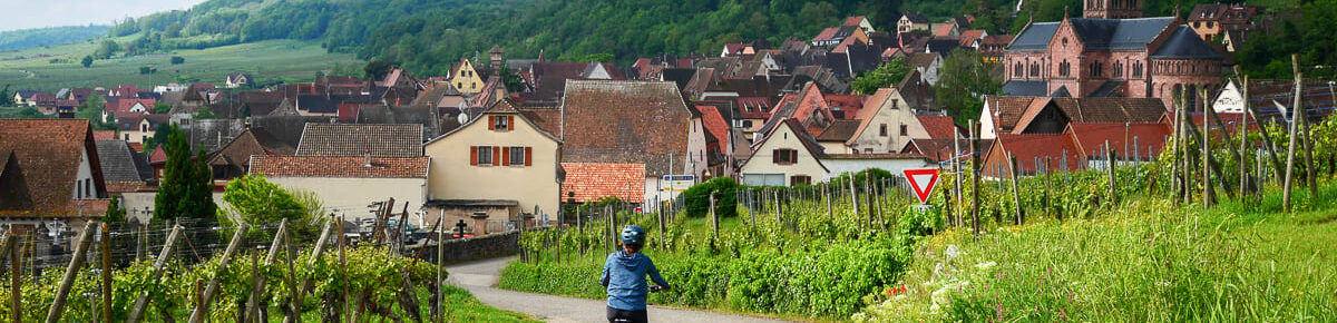Ciclista en bicicleta eléctrica por la Ruta del Vino en Gueberschwihr